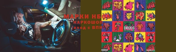 хмурый Каменка