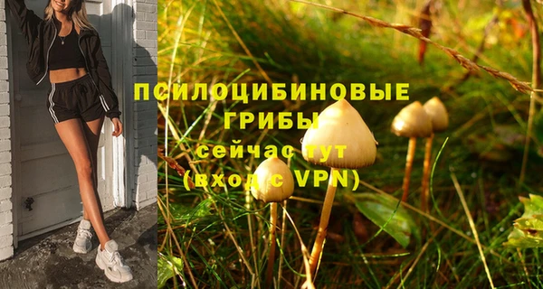 герыч Инта