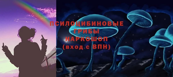 герыч Инта