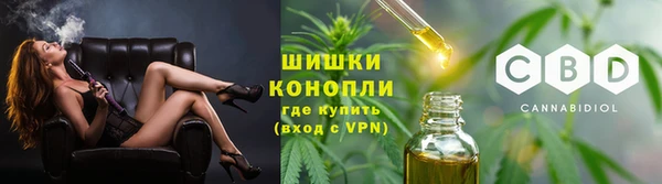хмурый Каменка