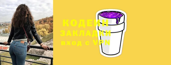 хмурый Каменка