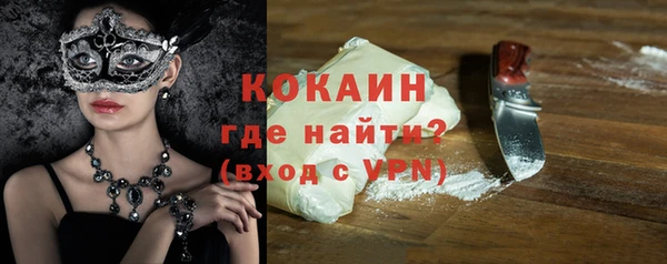хмурый Каменка